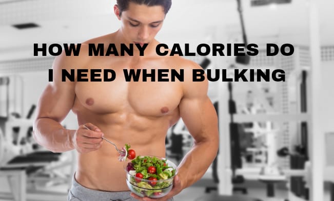 HOW MANY CALORIES DO I NEED WHEN BULKING?