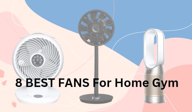 8 BEST FANS FOR HOME GYM